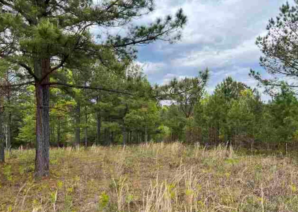0 Village Loop Property Photo 1