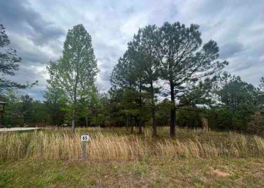 0 Village Loop Property Photo 2