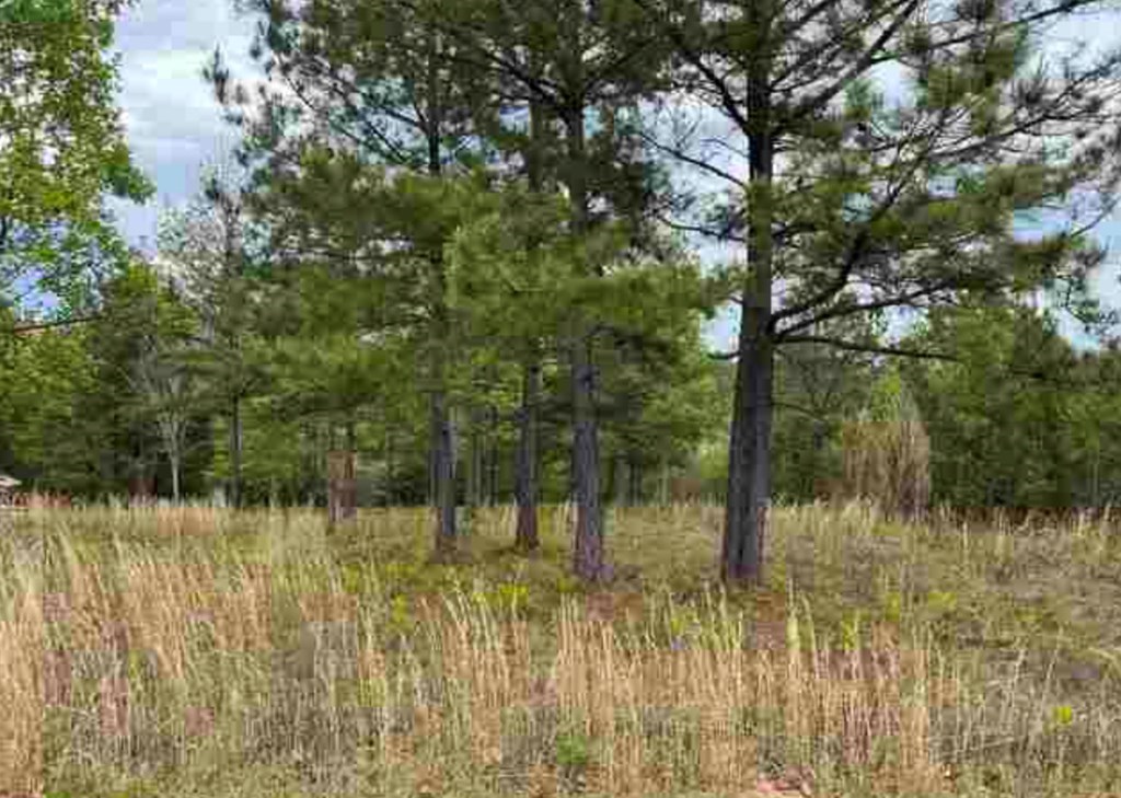0 Village Loop Property Photo 3