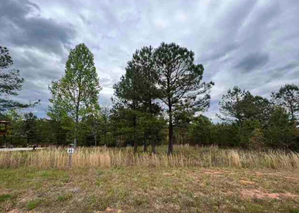 0 Village Loop Property Photo 4