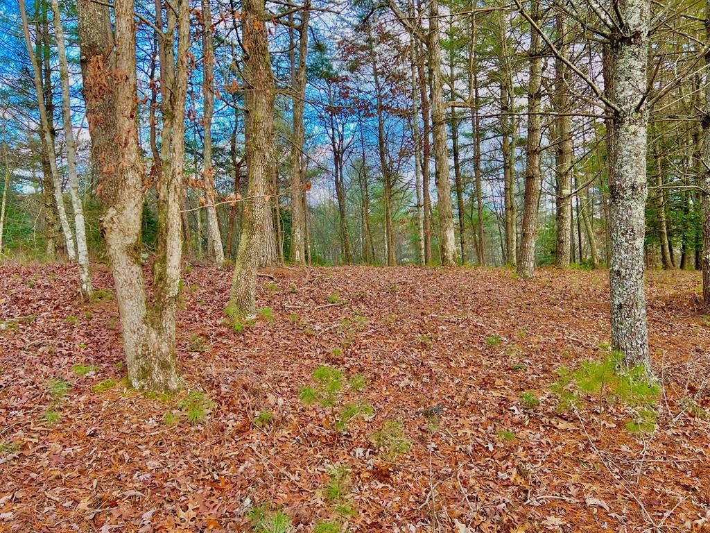 Lot 5 Hawks View Property Photo 1