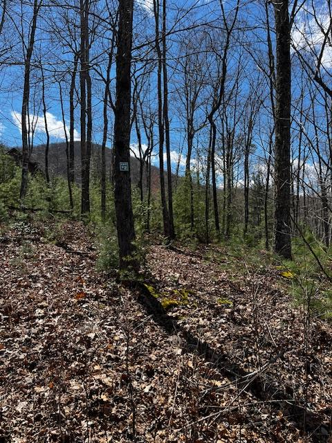 #11 Knights Gap Way Property Photo