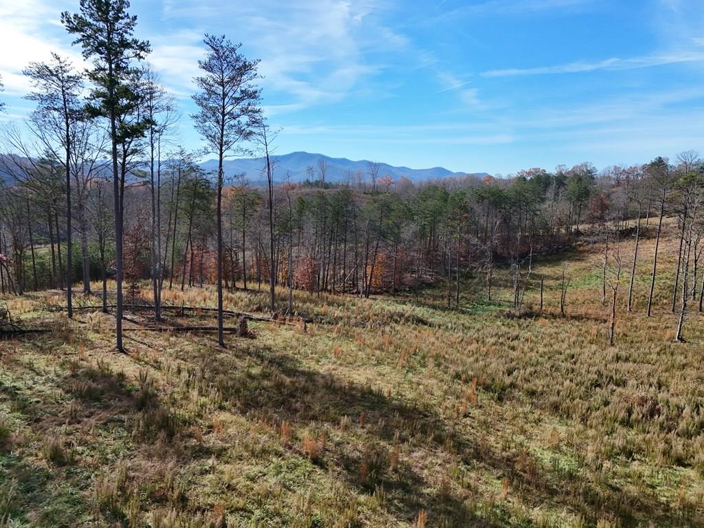 902 Deitz Cable Road Property Photo