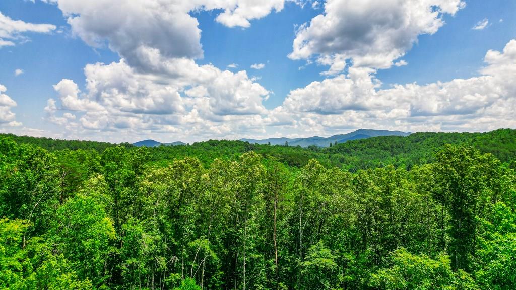 155ac Megan Trace Drive