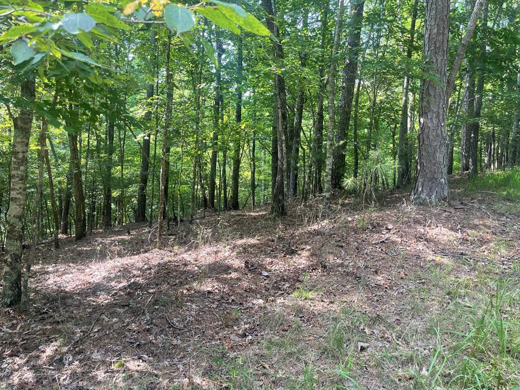 Lot 3279 Haven Court Property Photo 1
