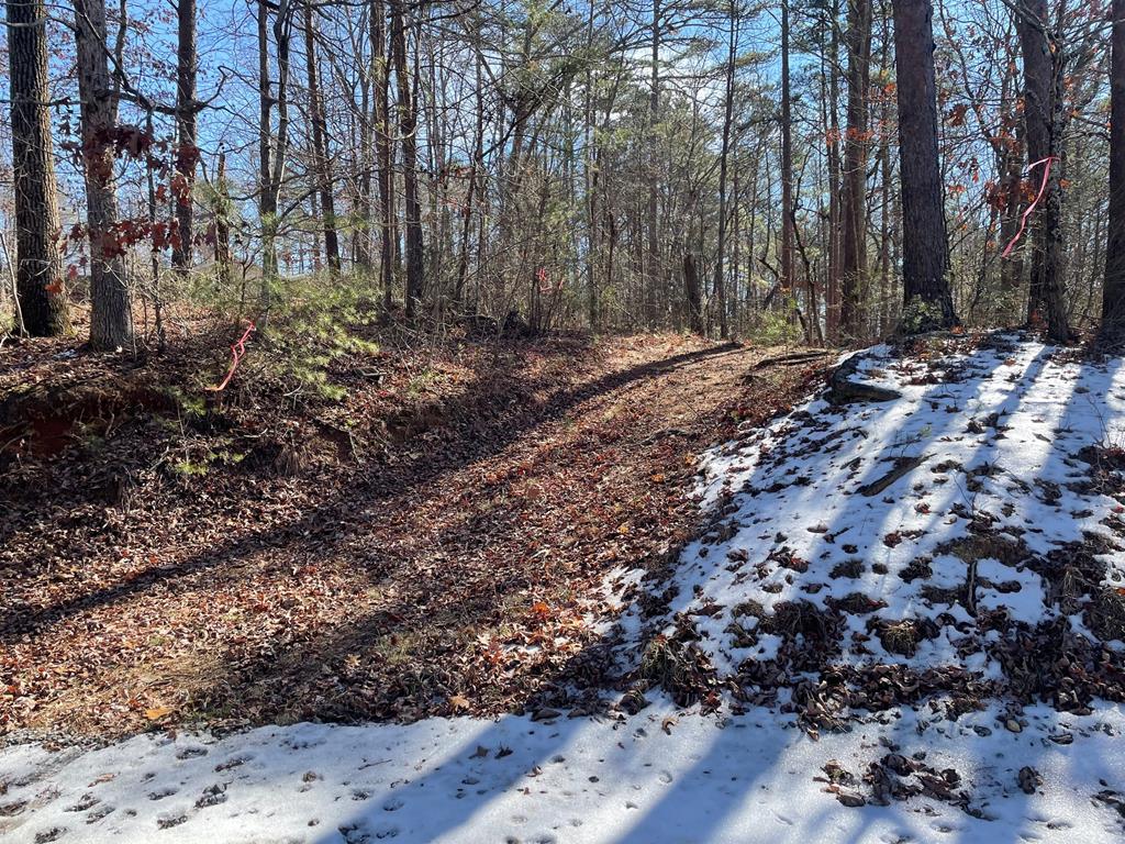 01 Old Federal Road Property Photo 1