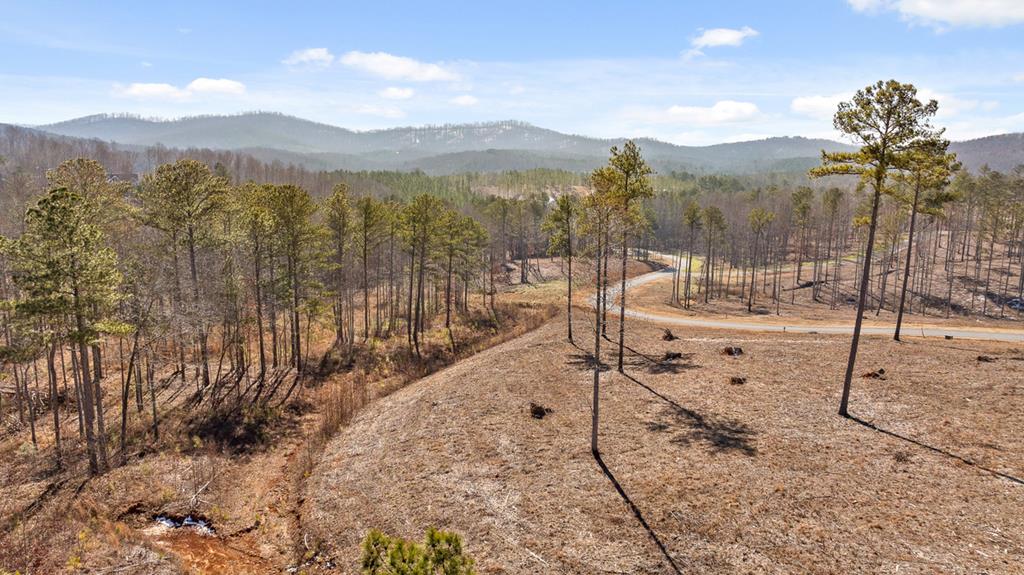 Lot 293 Twisted Oak Road Property Photo 1