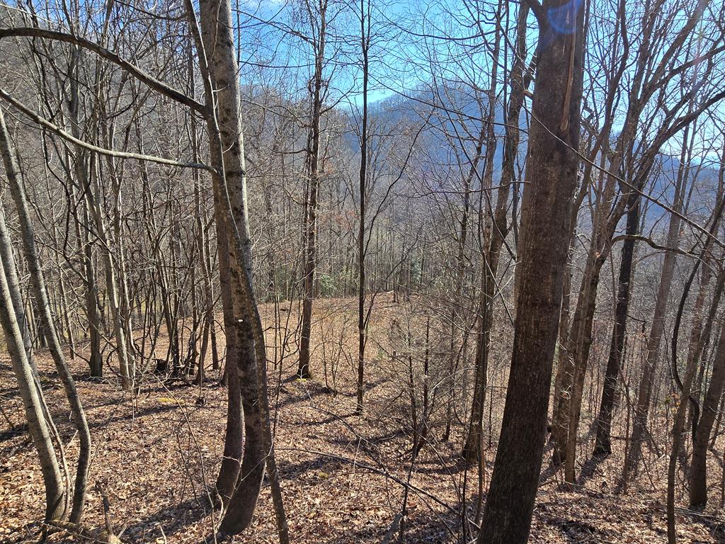 Lot 11 High Meadows Property Photo