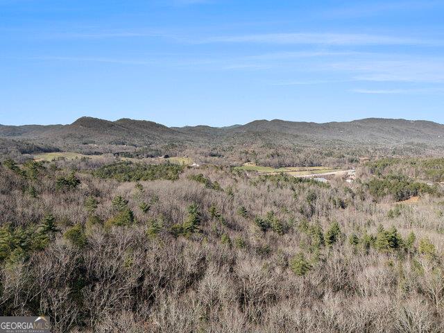 0 Seed Tick Road Property Photo