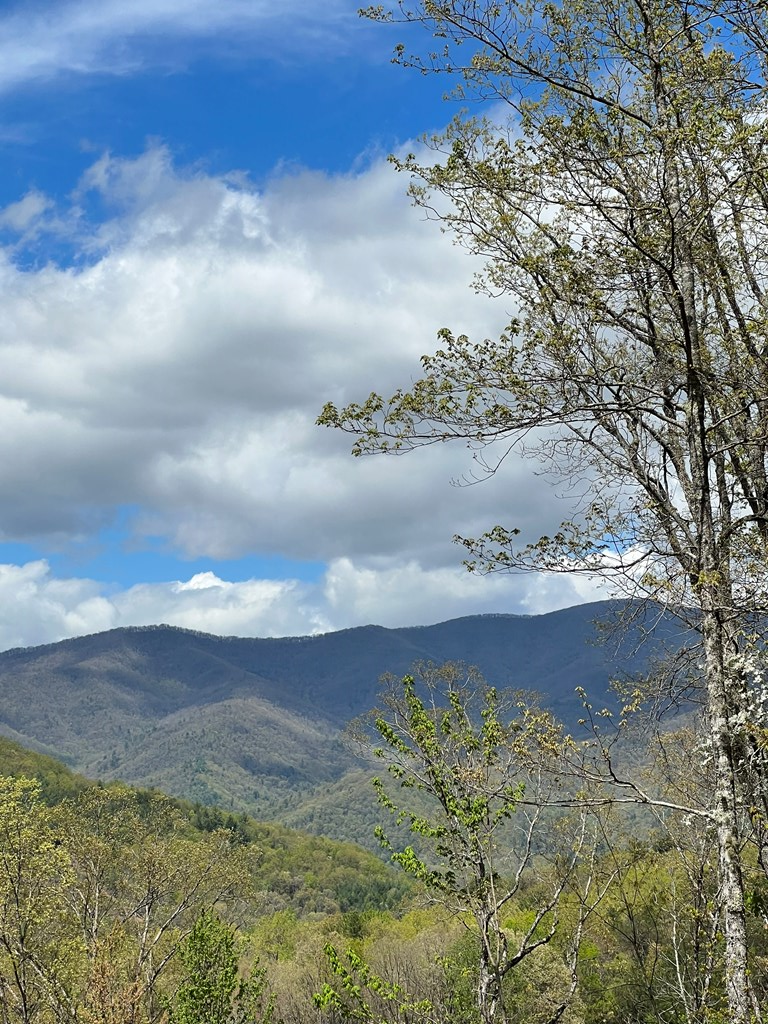 33 35 36 Ash Branch Property Photo 3