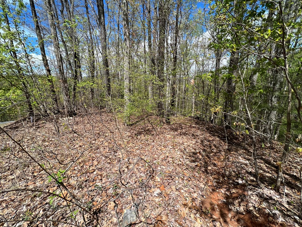 33 35 36 Ash Branch Property Photo 5
