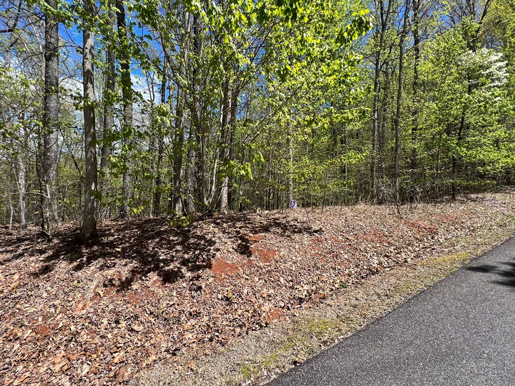 33 35 36 Ash Branch Property Photo 6