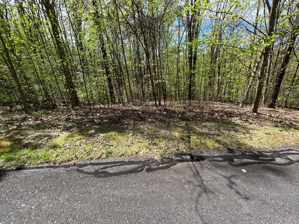 33 35 36 Ash Branch Property Photo 7