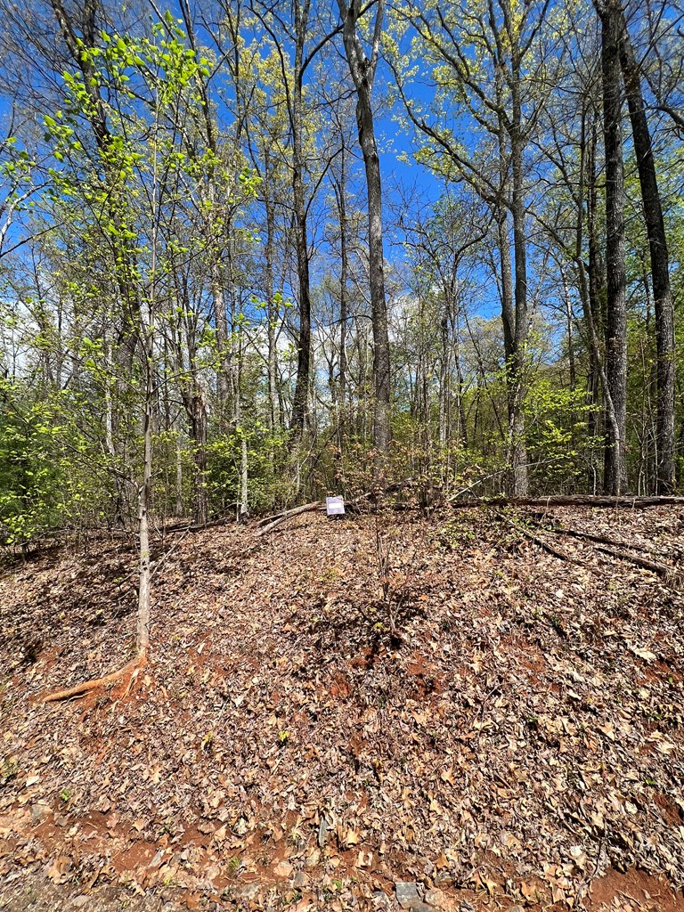 33 35 36 Ash Branch Property Photo 8
