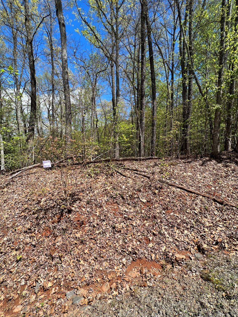 33 35 36 Ash Branch Property Photo 9