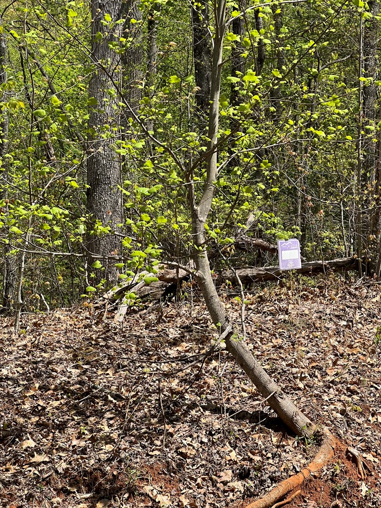 33 35 36 Ash Branch Property Photo 10