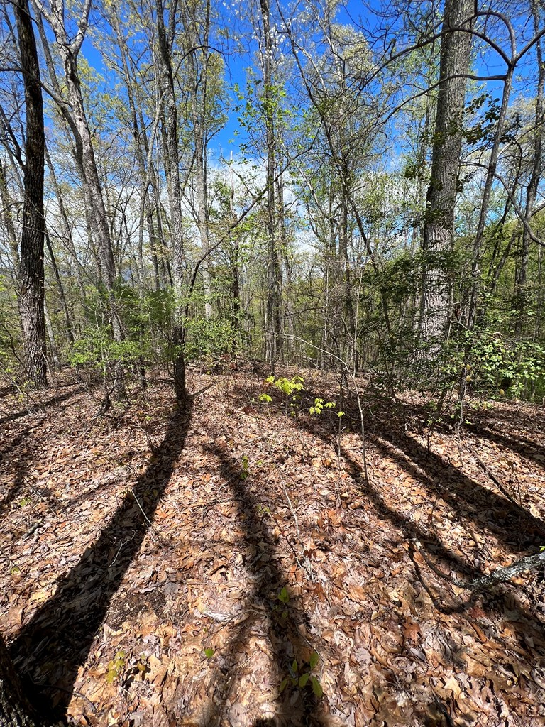 33 35 36 Ash Branch Property Photo 13