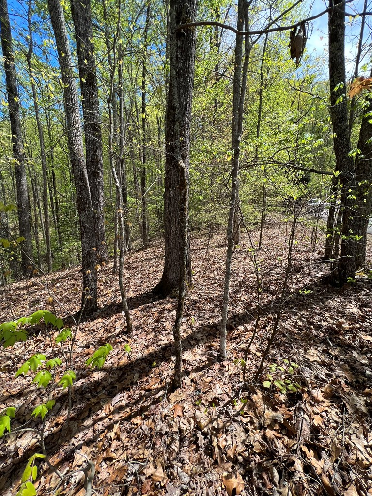 33 35 36 Ash Branch Property Photo 14