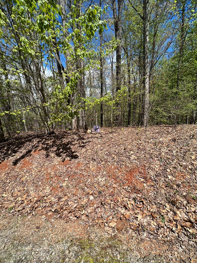 33 35 36 Ash Branch Property Photo 15