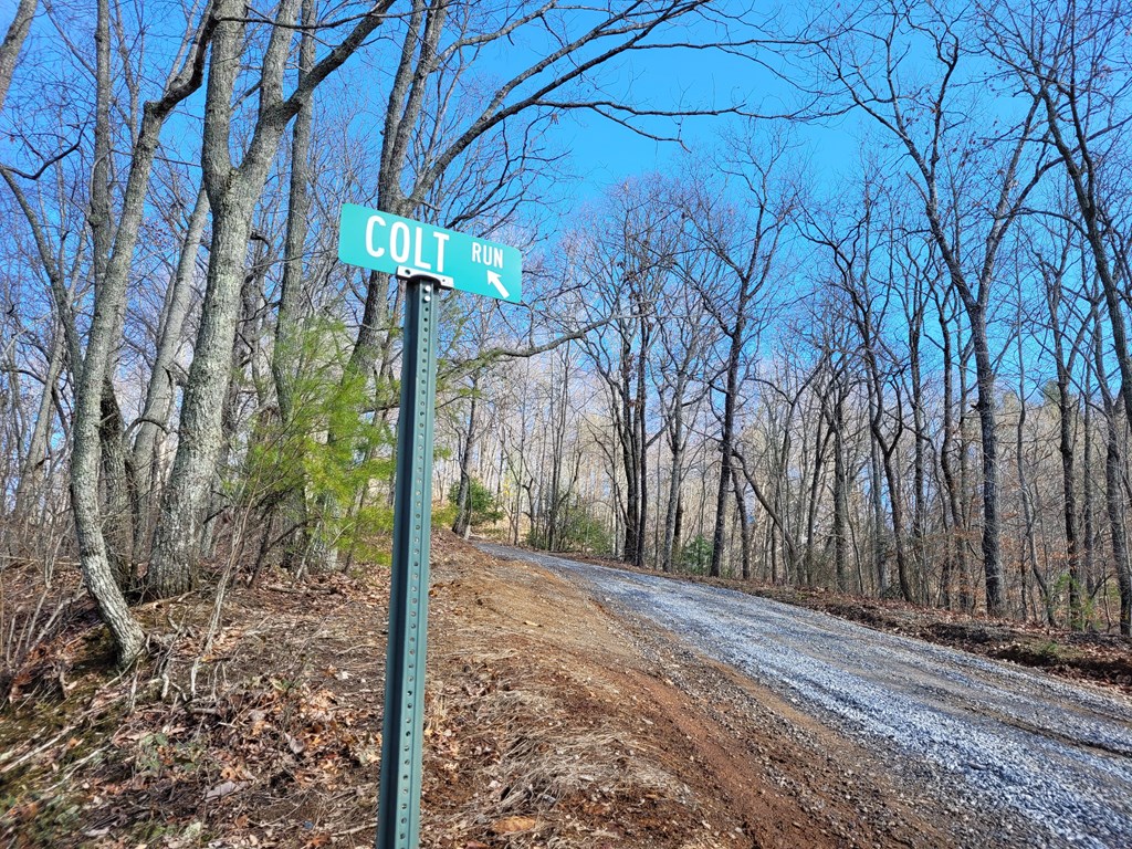 72 Colt Run Property Photo 6