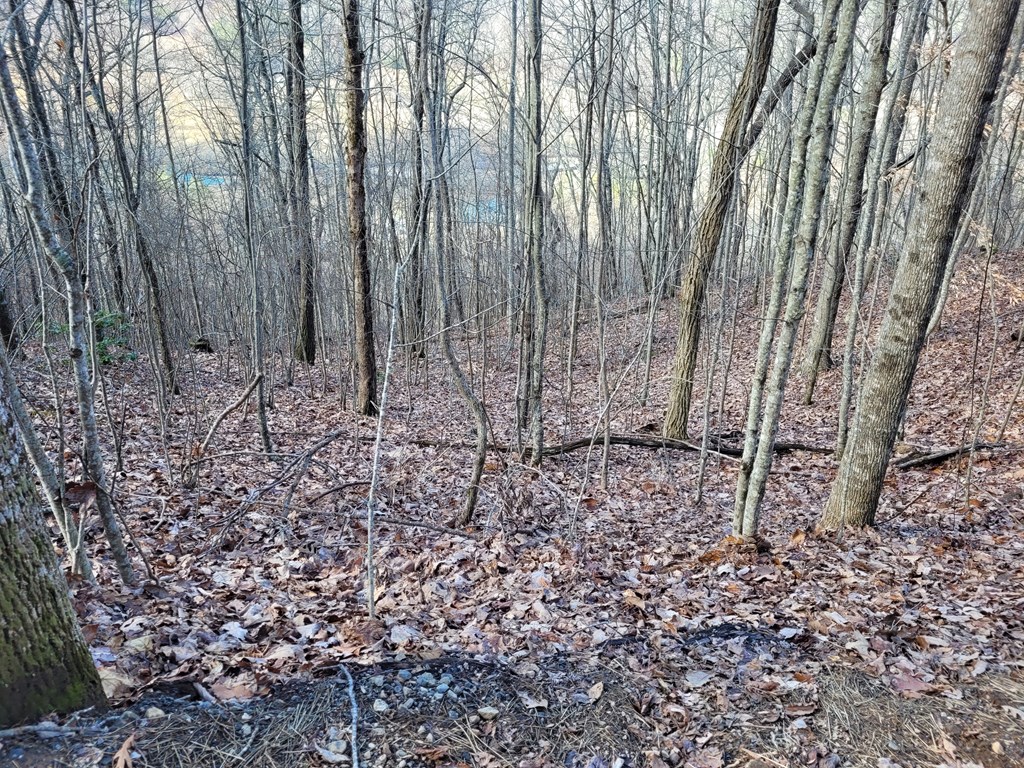 72 Colt Run Property Photo 10