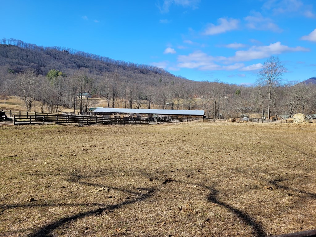 72 Colt Run Property Photo 17