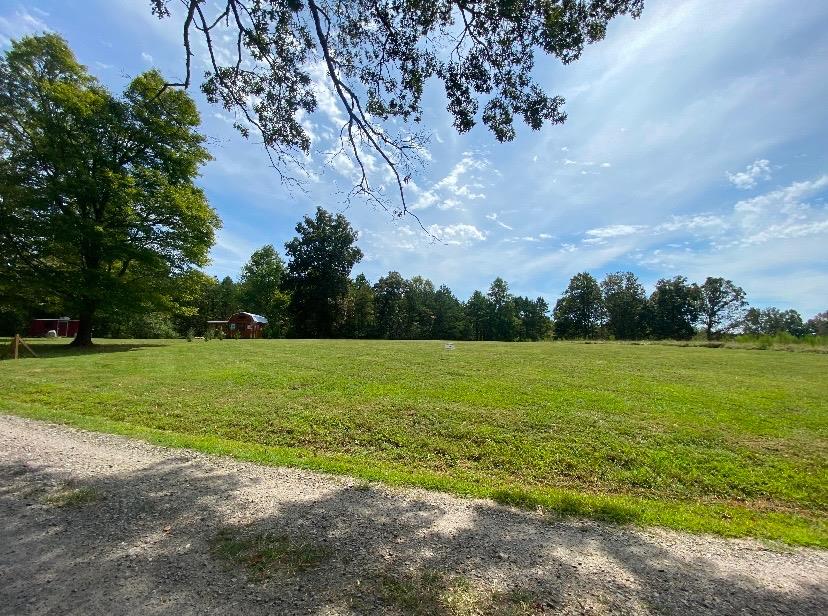 38 Holly Point Drive Property Photo 1