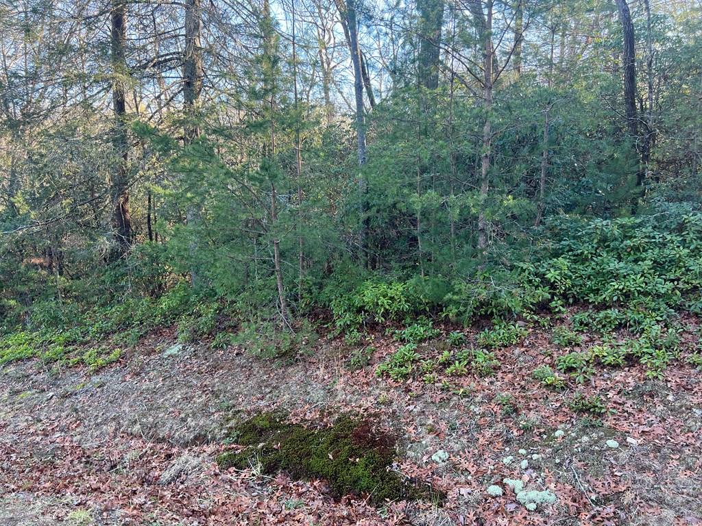 Lot 14 Frances Drive Property Photo 4