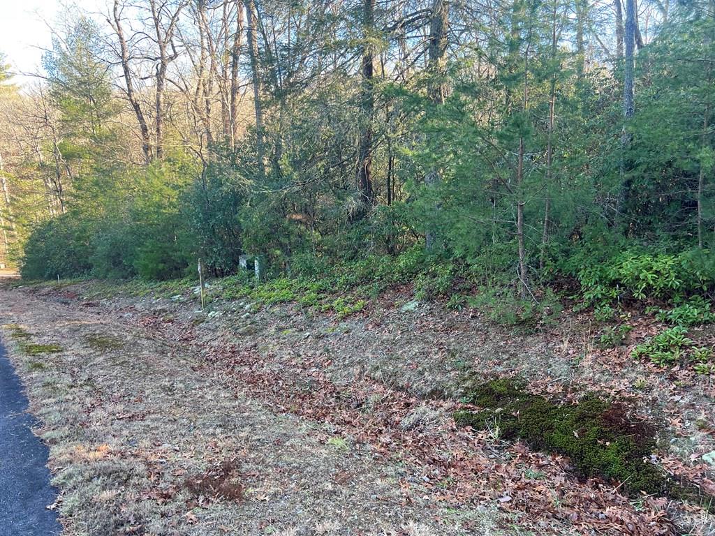 Lot 14 Frances Drive Property Photo 5