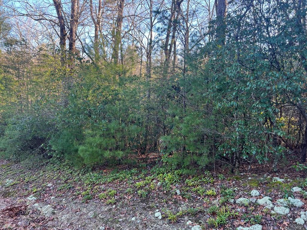 Lot 14 Frances Drive Property Photo 8