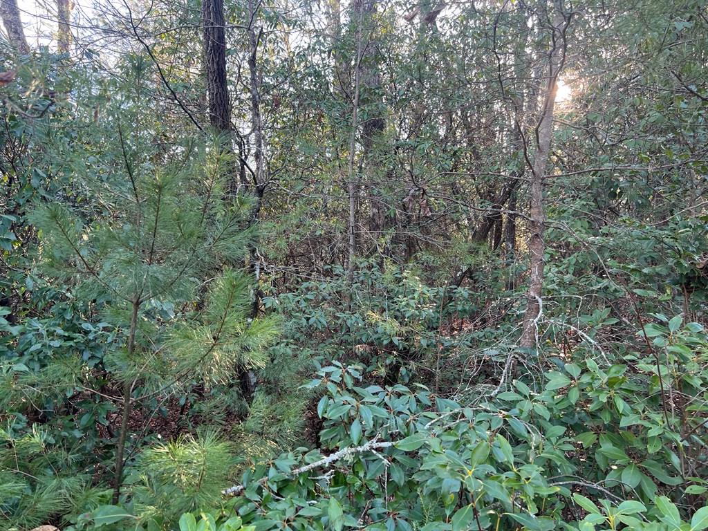 Lot 14 Frances Drive Property Photo 12