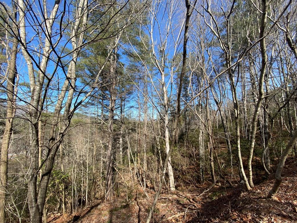 Lot 16 Freedom Pass Drive Property Photo