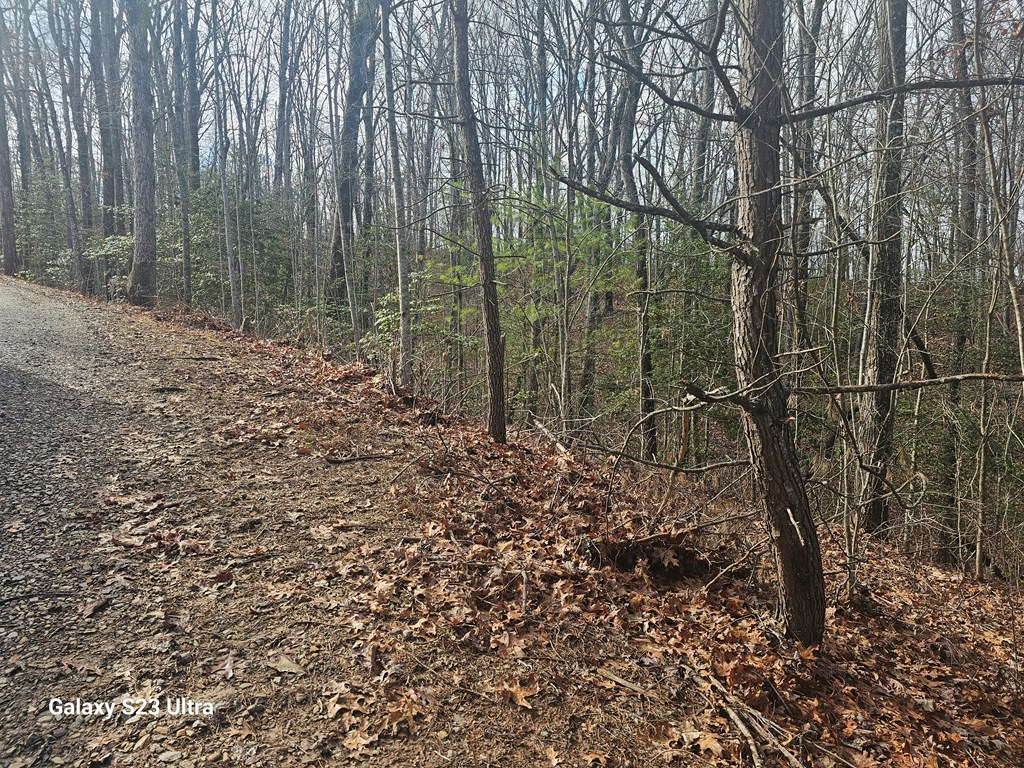 00 Antler Lane Property Photo 2