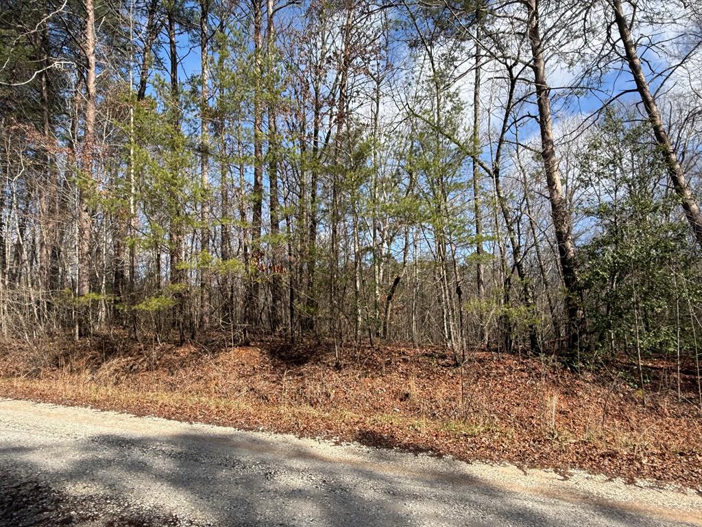 Banjo Mountain Real Estate Listings Main Image
