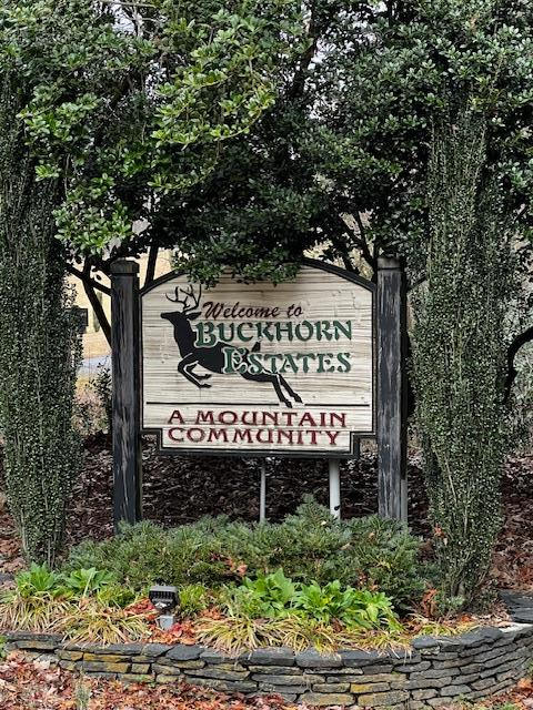 Buckhorn Ii Real Estate Listings Main Image
