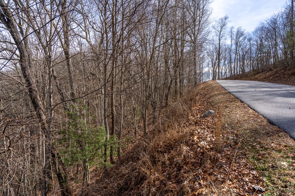 Lot 7 Ada Ridge Road Property Photo 8