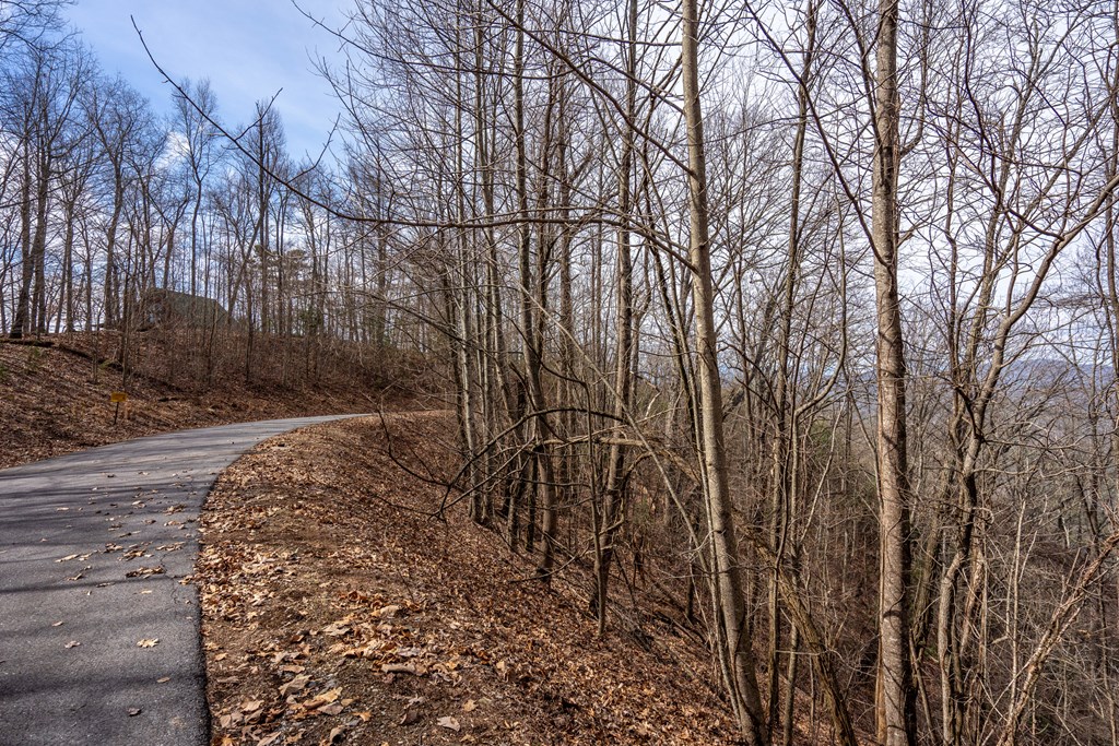 Lot 7 Ada Ridge Road Property Photo 9