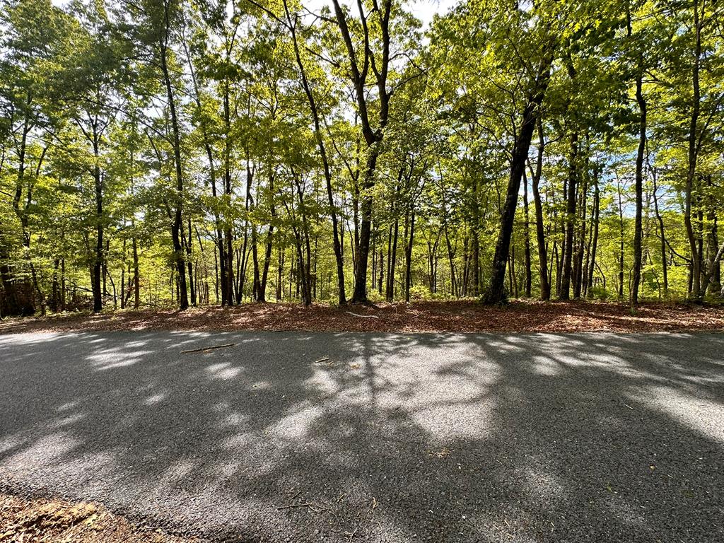 Lot 8 Settawig Overlook Property Photo 6