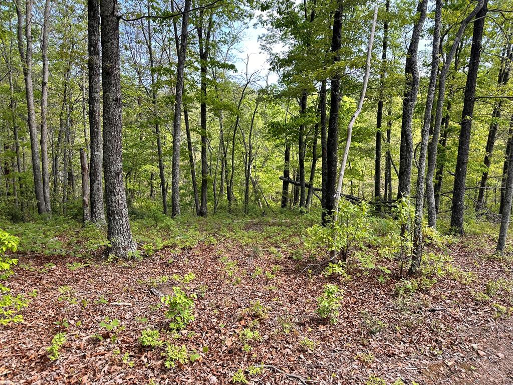 Lot 12 Settawig Overlook Property Photo 3