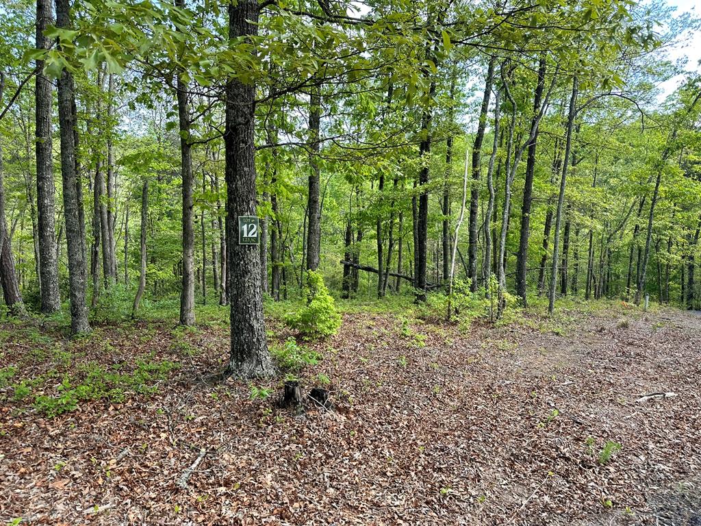 Lot 12 Settawig Overlook Property Photo 4