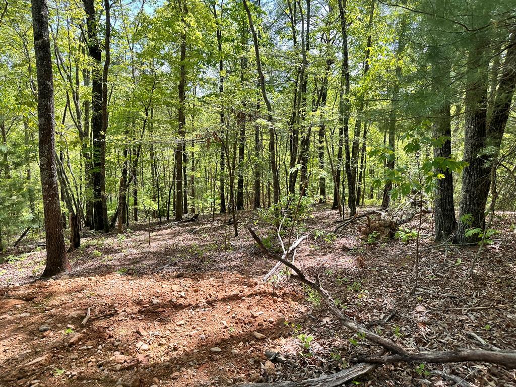 Lot 13 Settawig Overlook Property Photo 6