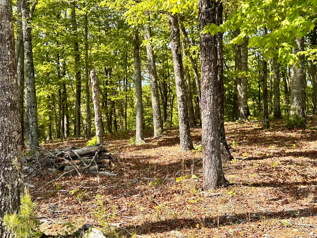 Lot 16 Settawig Overlook Property Photo 7