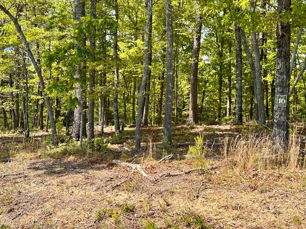 Lot 16 Settawig Overlook Property Photo 8