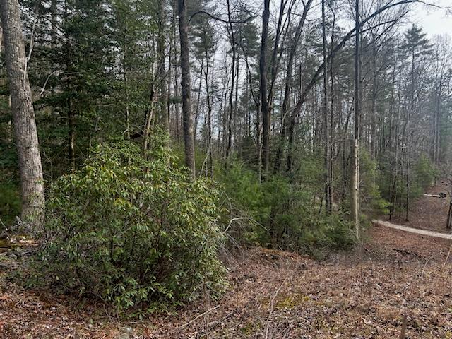 Lumpkin County Real Estate Listings Main Image