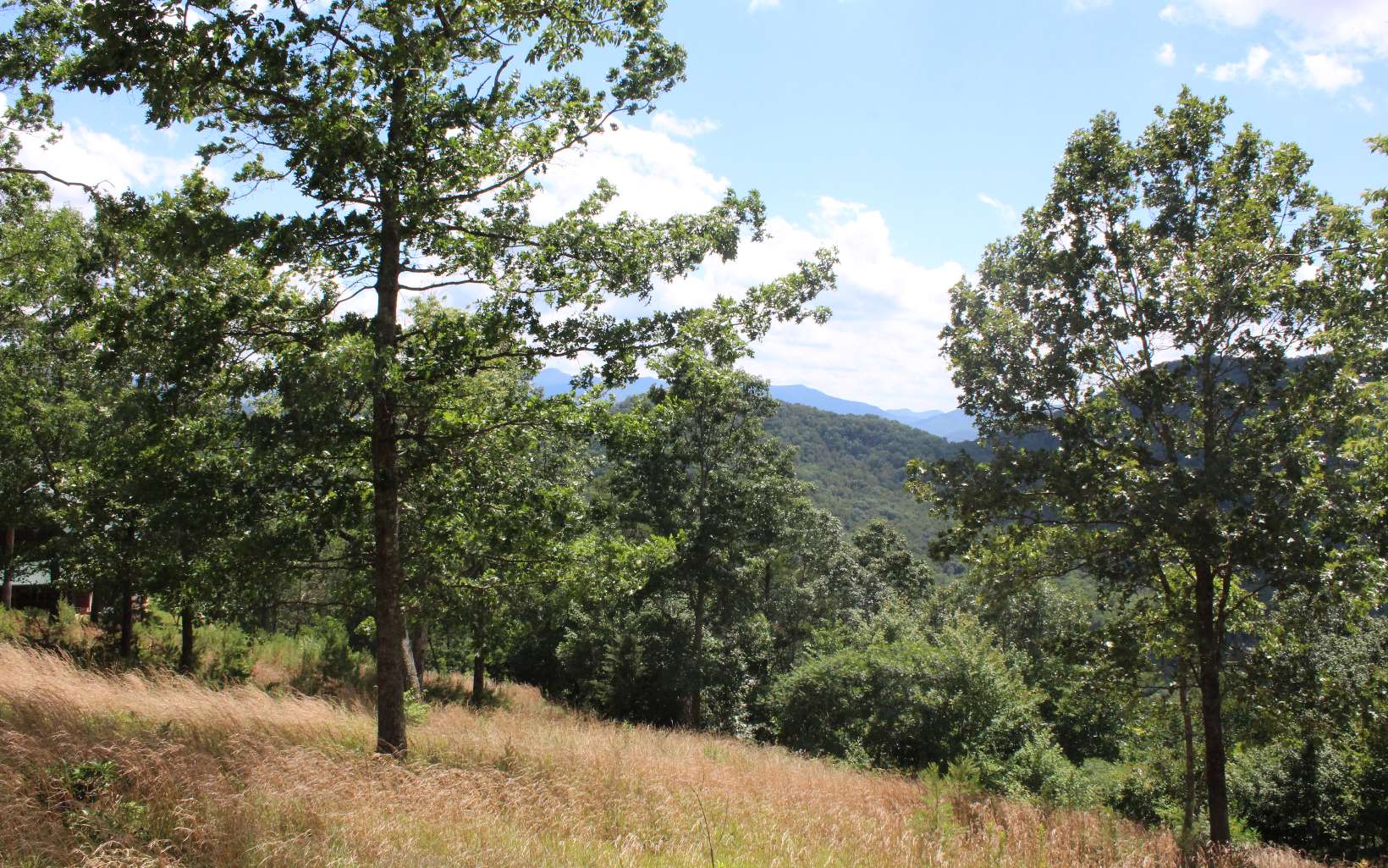 131 Shiloh Ridge Property Photo 2