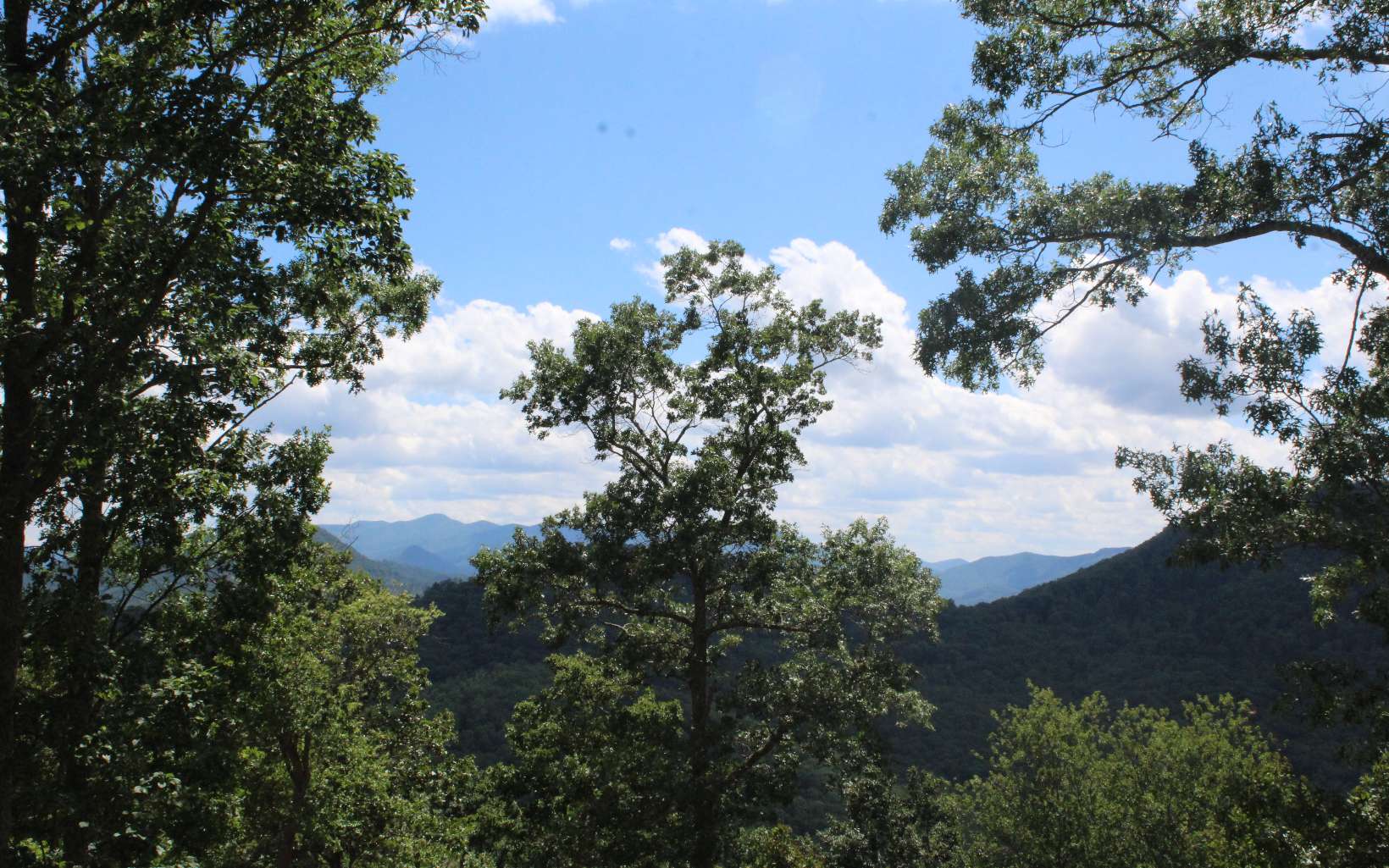 131 Shiloh Ridge Property Photo 4