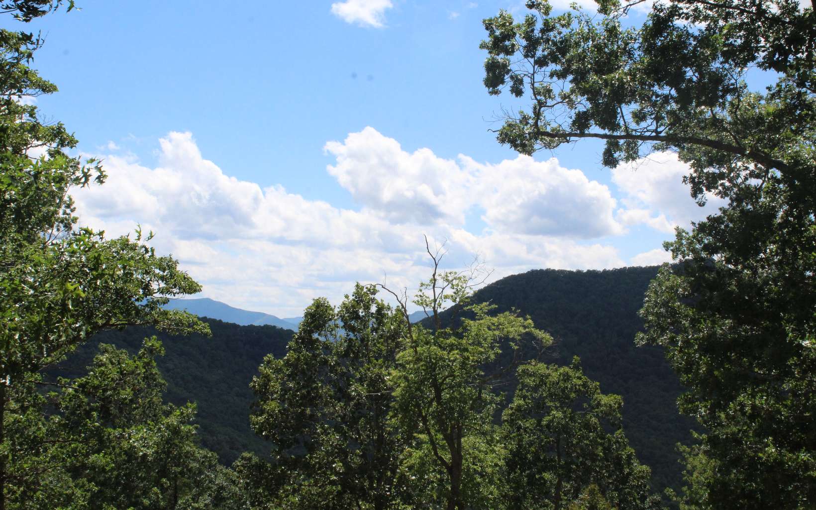 131 Shiloh Ridge Property Photo 6