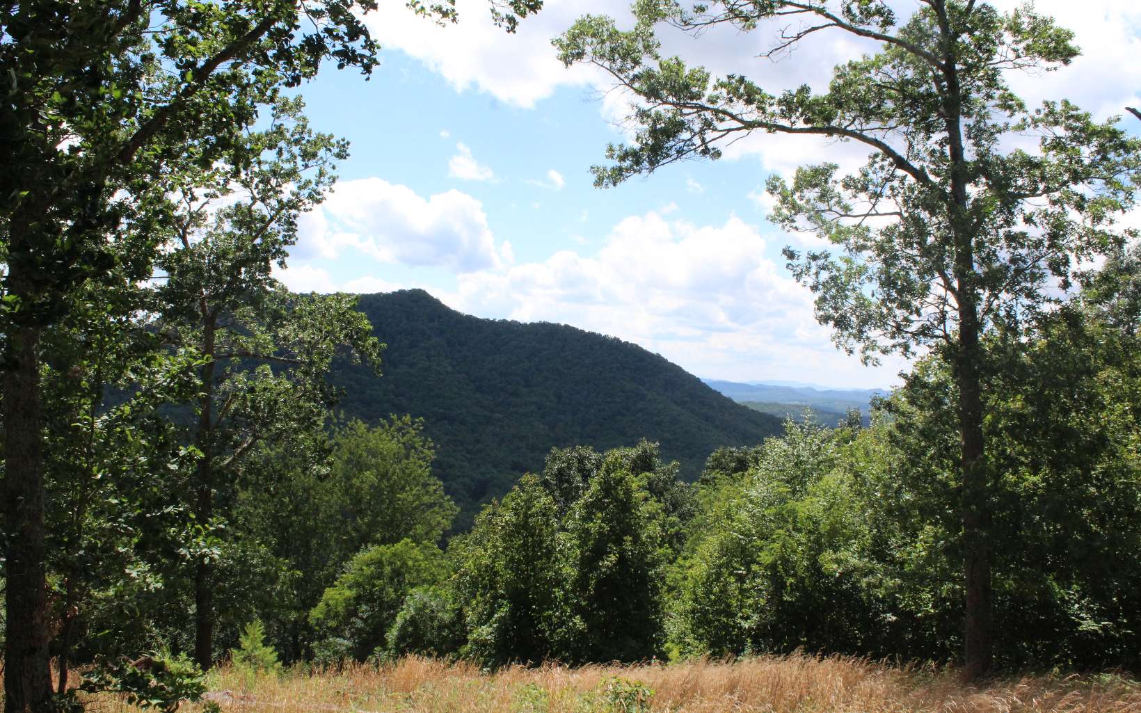 131 Shiloh Ridge Property Photo 9