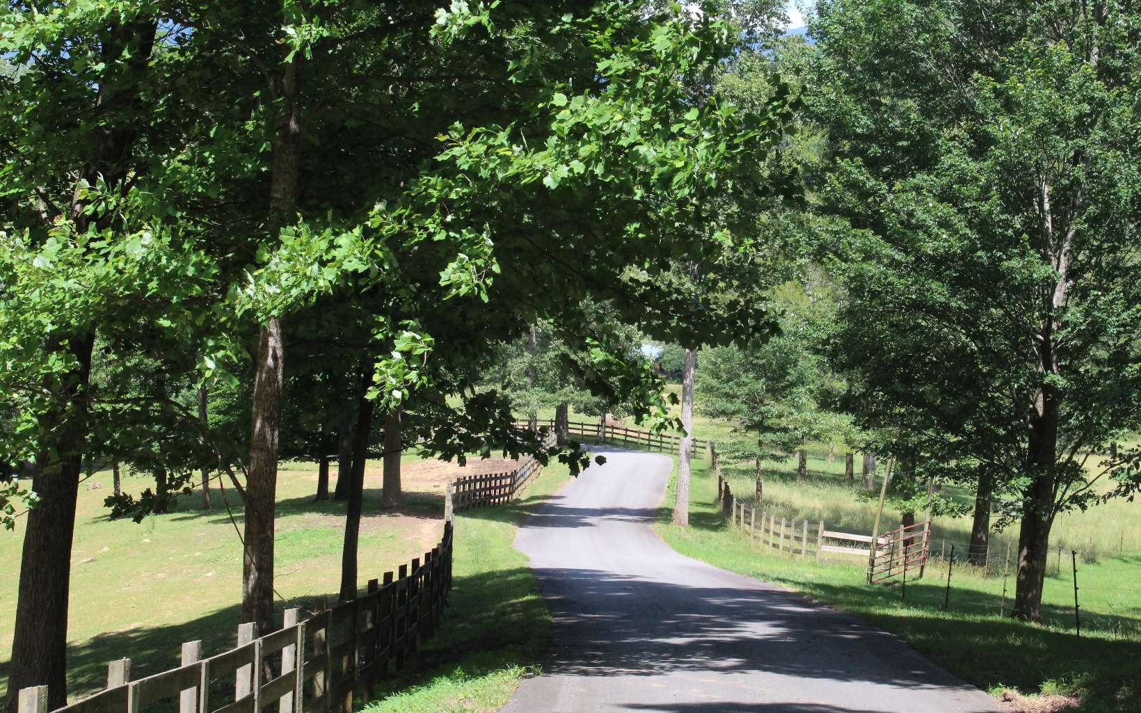 131 Shiloh Ridge Property Photo 12