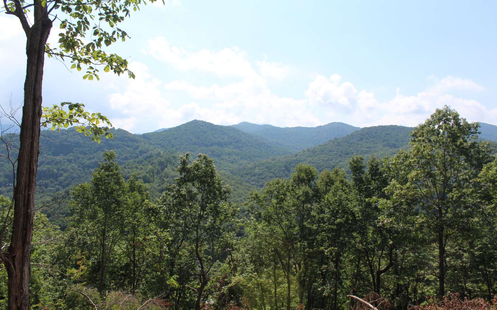 135 Shiloh Ridge Property Photo 5